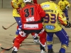 091-hokejbal-2010-11-13