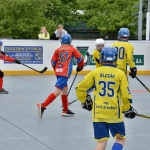 NIK_7389a